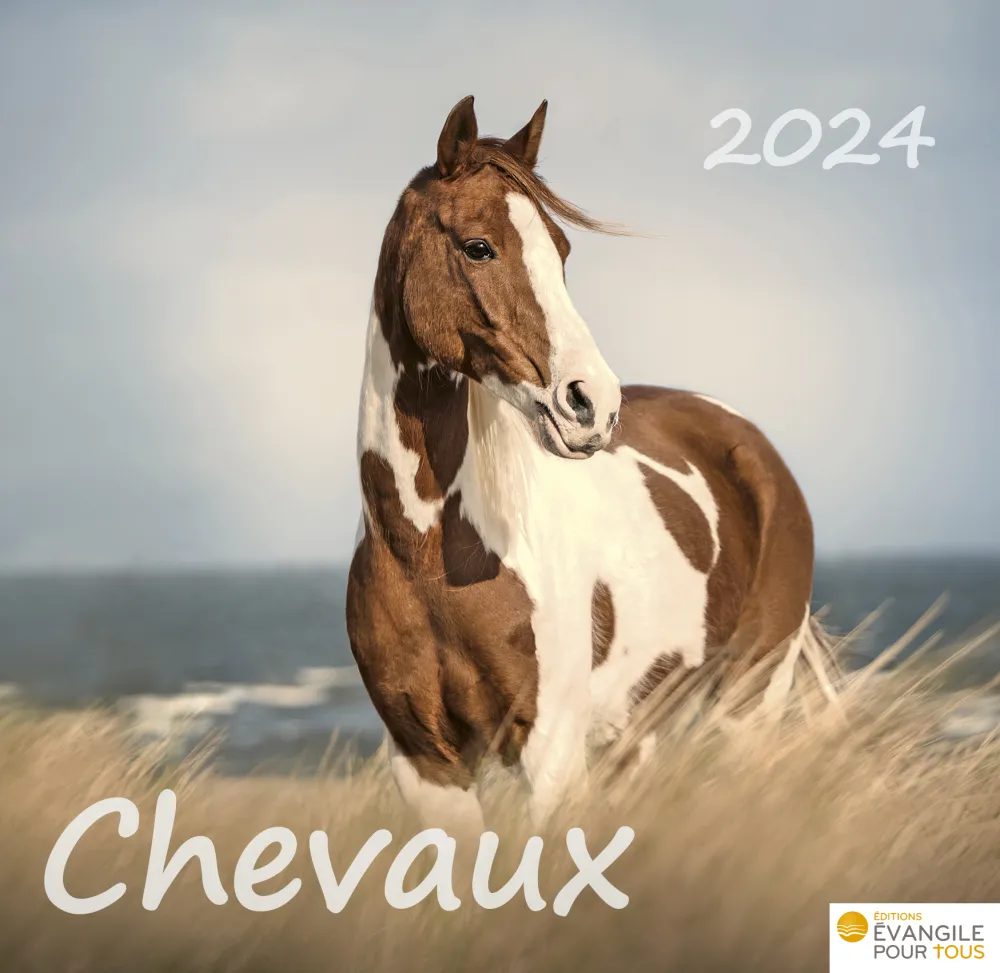 Calendrier Chevaux - Merveilles de la création