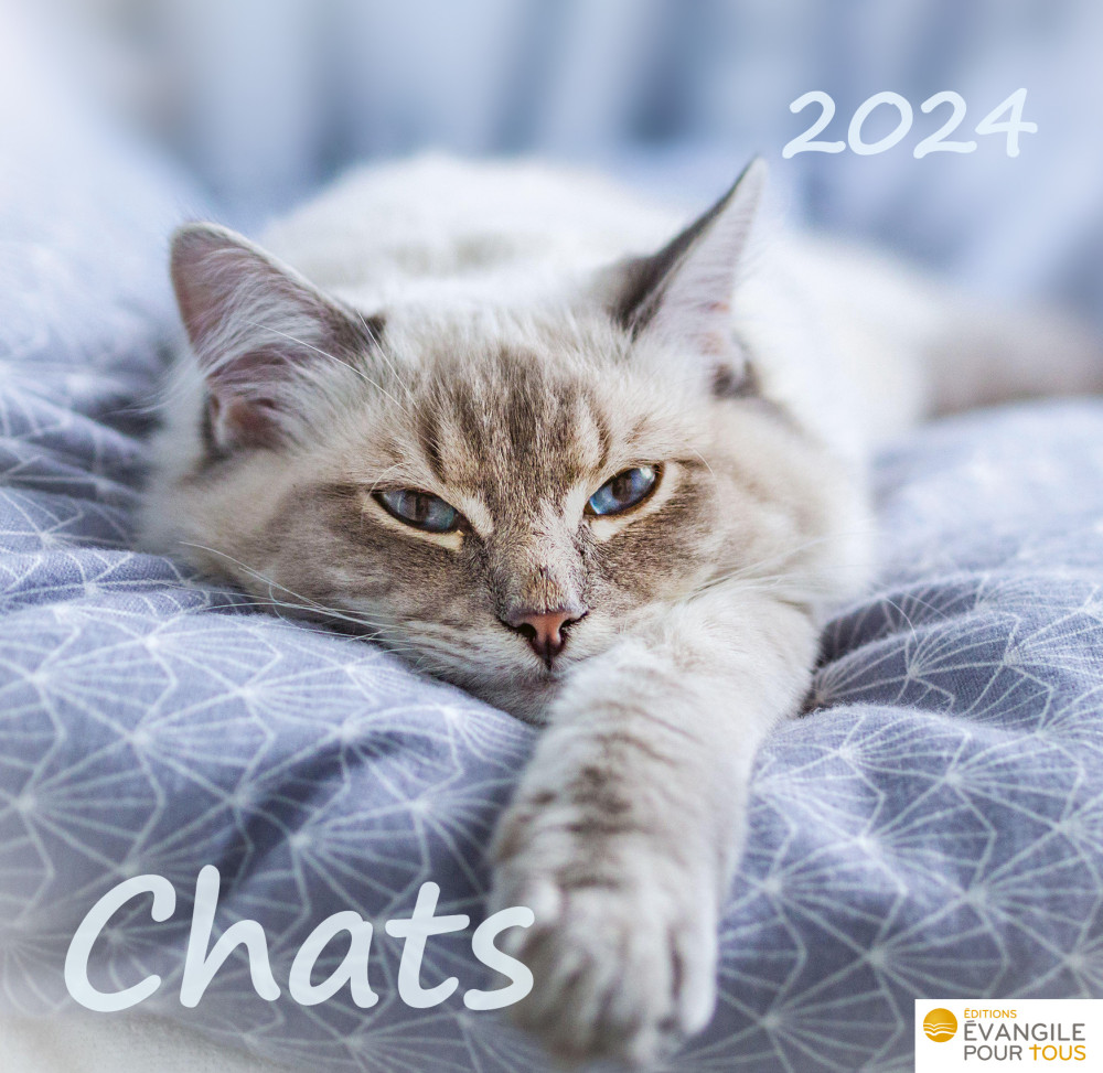 Calendrier Chats - Merveilles de la création