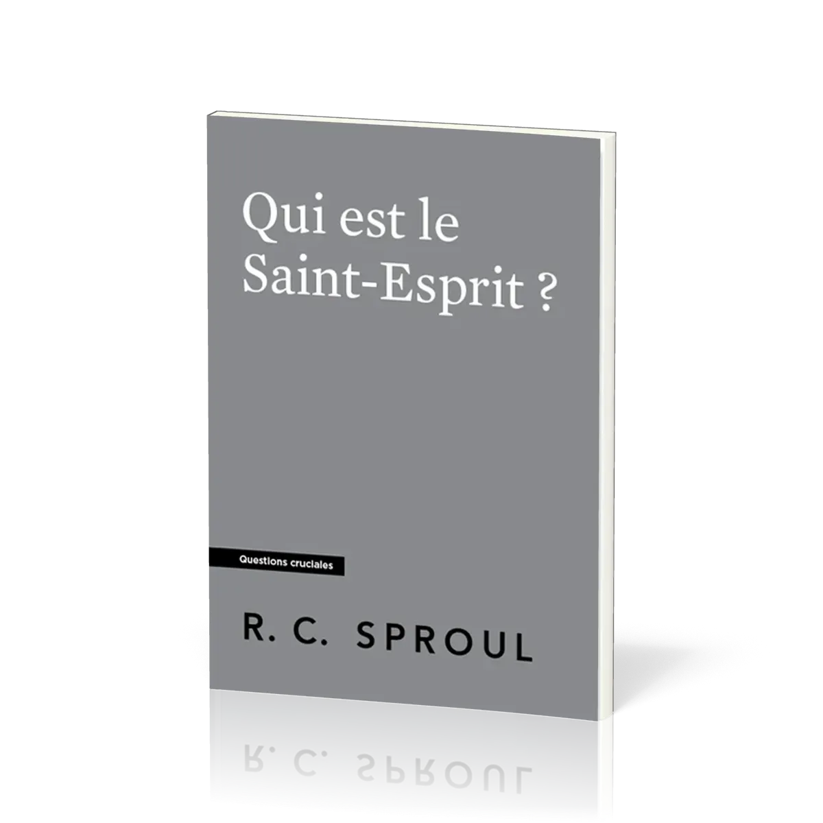 Qui est le Saint-Esprit ? Collection Questions cruciales
