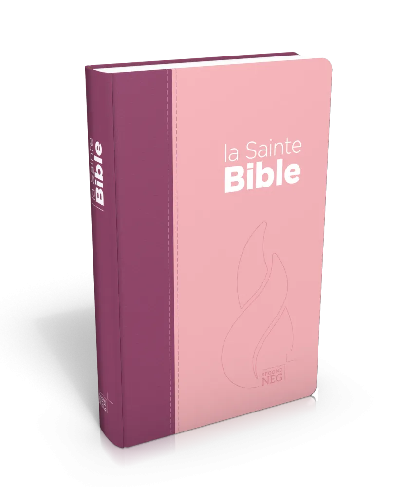 Bible Segond NEG compact, couverture souple, toile duo rose praline/violet fruits des bois
