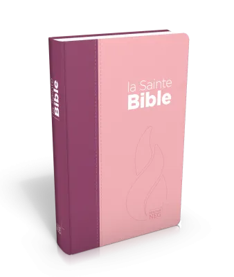 Bible Segond NEG compact, couverture souple, toile duo rose praline/violet fruits des bois