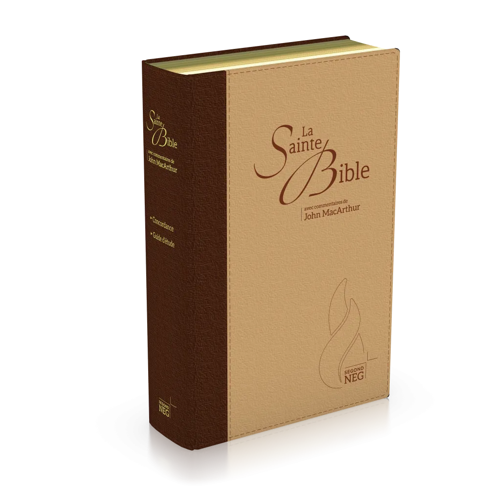 Bible NEG MacArthur - duo marron et beige - souple, toile, tranche or
