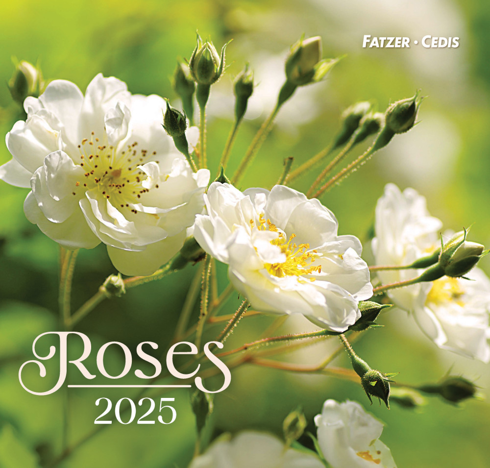 Calendrier Roses - grand format