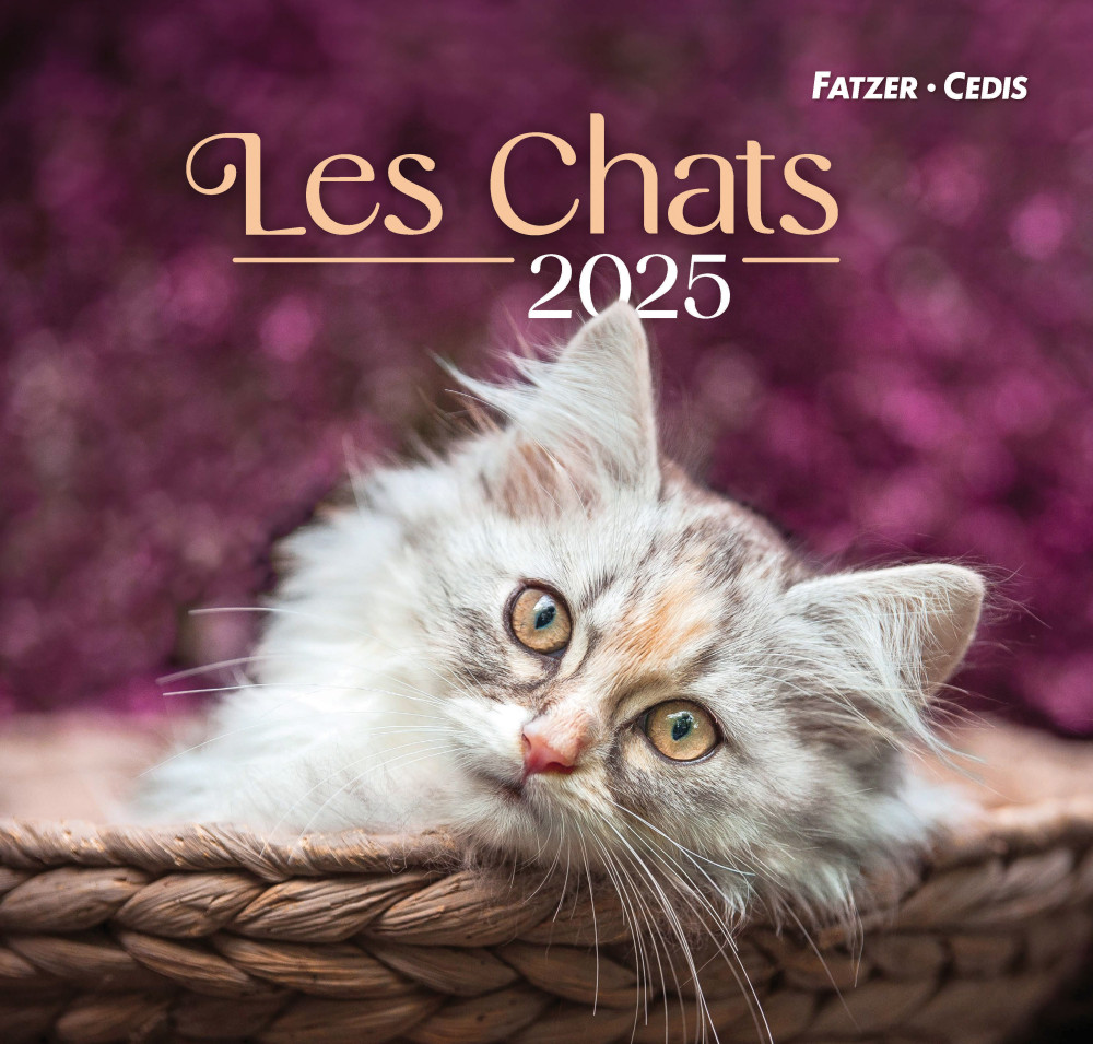 Calendrier Les chats - grand format