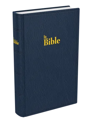 Bible Darby 2024 compact, souple bleu