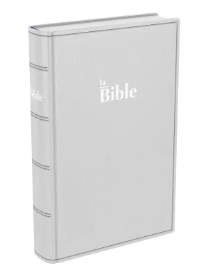Bible Darby 2024 compact, souple gris
