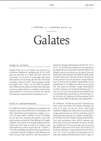 Bible Colombe - Bible d'étude de la foi réformée - Brun clair, similicuir