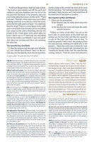 ESV Student Study Bible Trutone Sky Blue Ivy Design