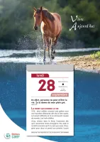 Calendrier Vivre Aujourd'hui - bloc à effeuiller, grande plaque