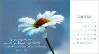 Calendrier Les fleurs - avec verset