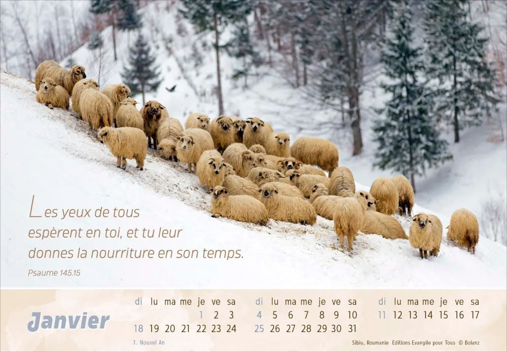 Calendrier Le Bon Berger  - cartes postales