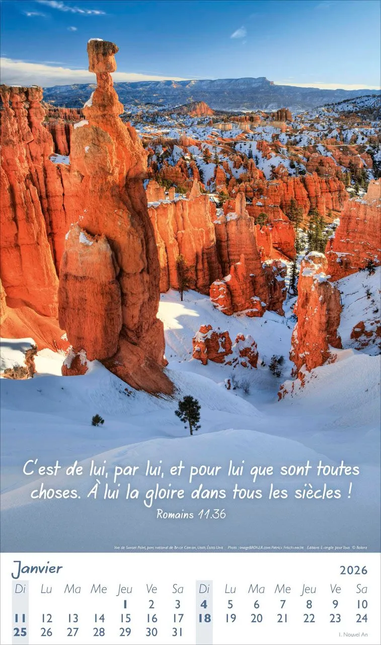 Calendrier Lumières - poster, mural