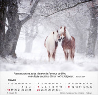 Calendrier Chevaux - Merveilles de la création