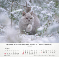 Calendrier Chats - Merveilles de la création