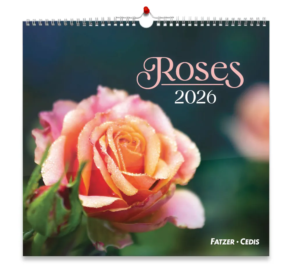 Calendrier Roses - grand format