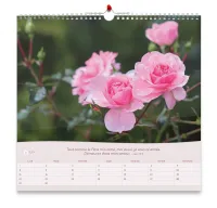 Calendrier Roses - grand format