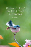 Calendrier format carte de crédit - Oiseau