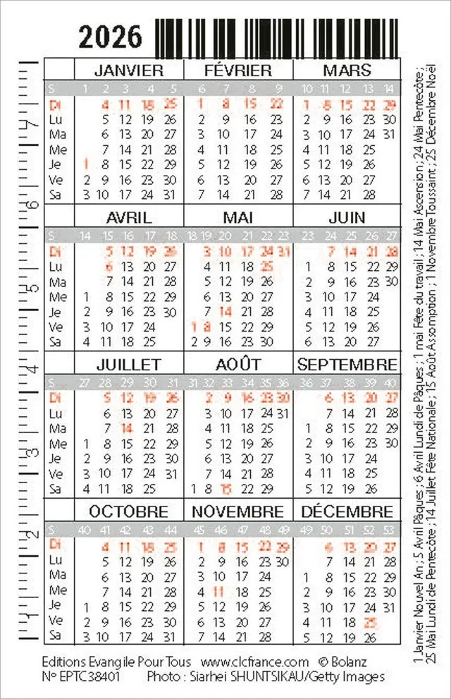 Calendrier format carte de crédit - Chat