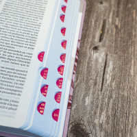 Bible Segond 21 compacte (Premium Style) - couverture souple toile rose et onglets