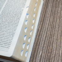 Bible Segond 21 compacte (Premium Style) - couverture souple toile blanche, tranches dorées et ongle