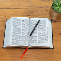 Bible Segond 21, gros caractères - couverture souple noire en fibrocuir