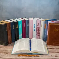 Bible Segond 21 compacte  (Premium style) - Couverture rigide cuir praliné-chocolat - tranches or et