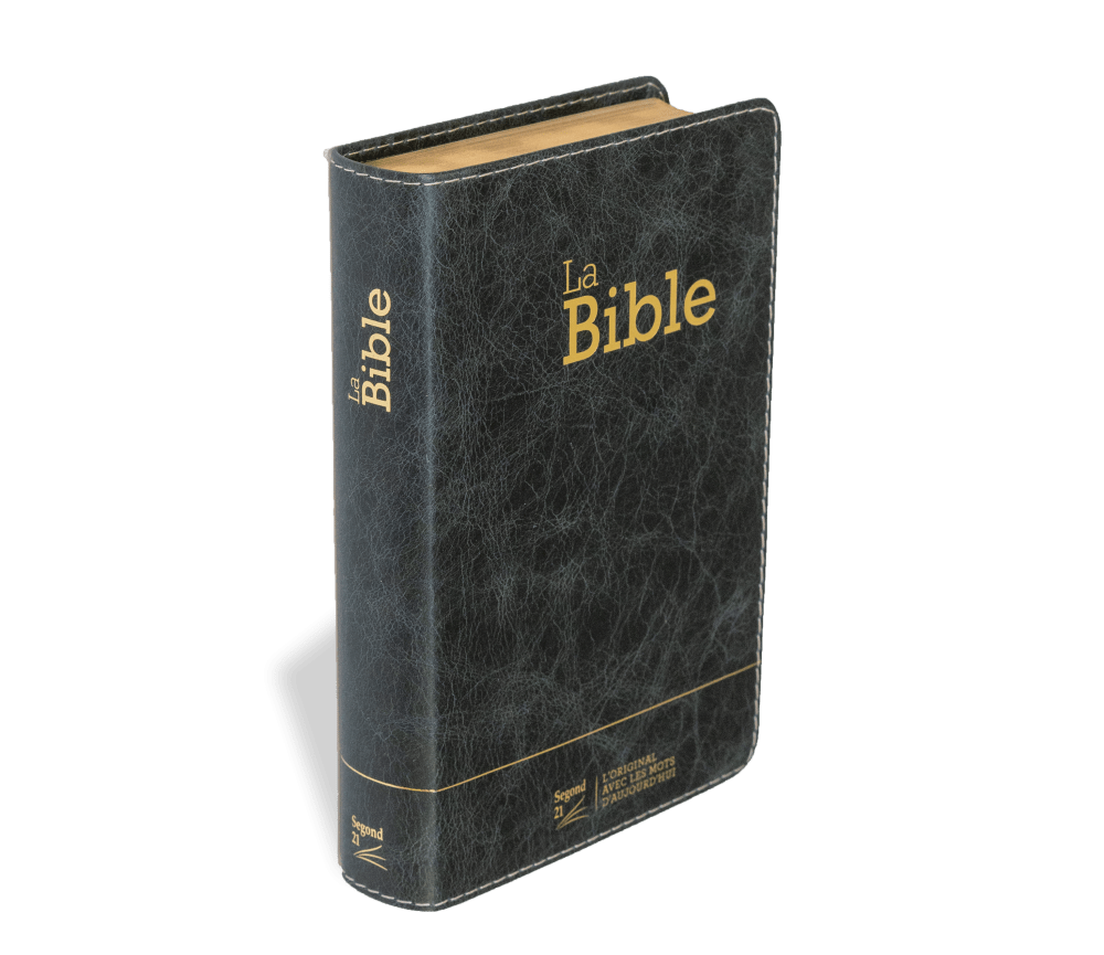 Bible Segond 21 compacte  (Premium style) - Couverture semi-rigide cuir anthracite, tranches or