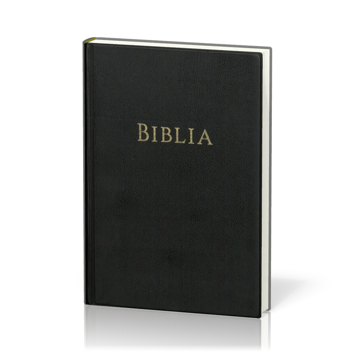 ROUMAIN - BIBLE