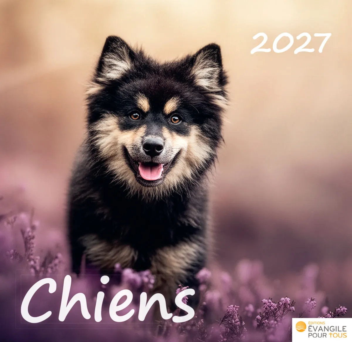 Calendrier Chiens - Merveilles de la création