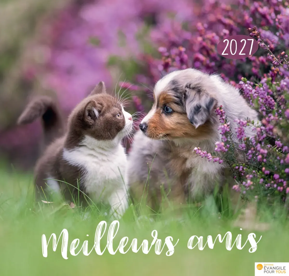 Calendrier Meilleurs amis - grand format