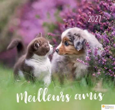 Calendrier Meilleurs amis - grand format