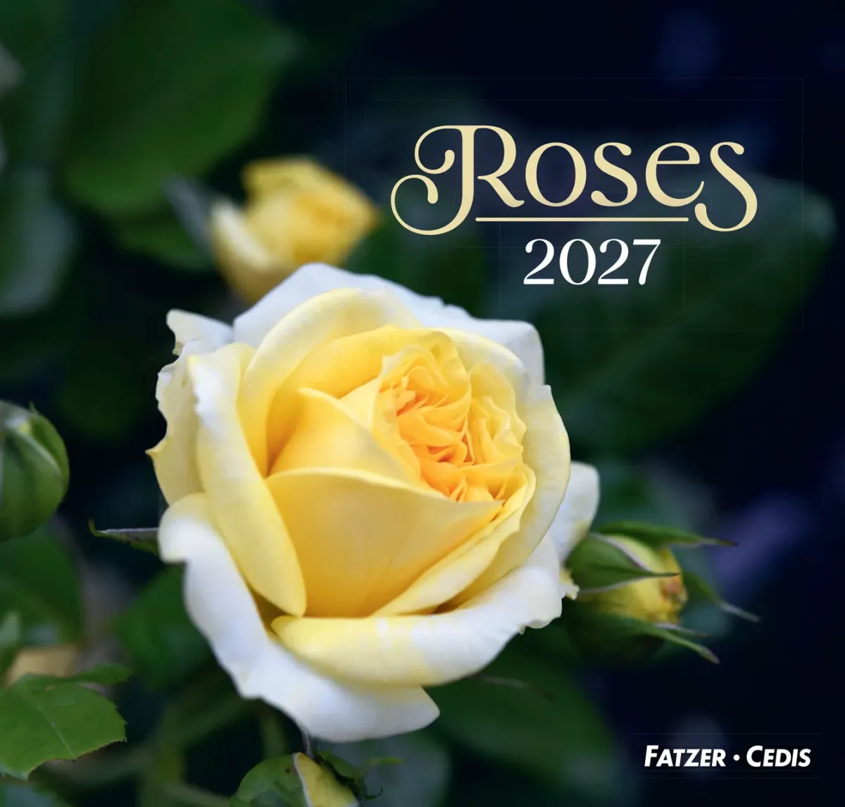 Calendrier Roses - grand format