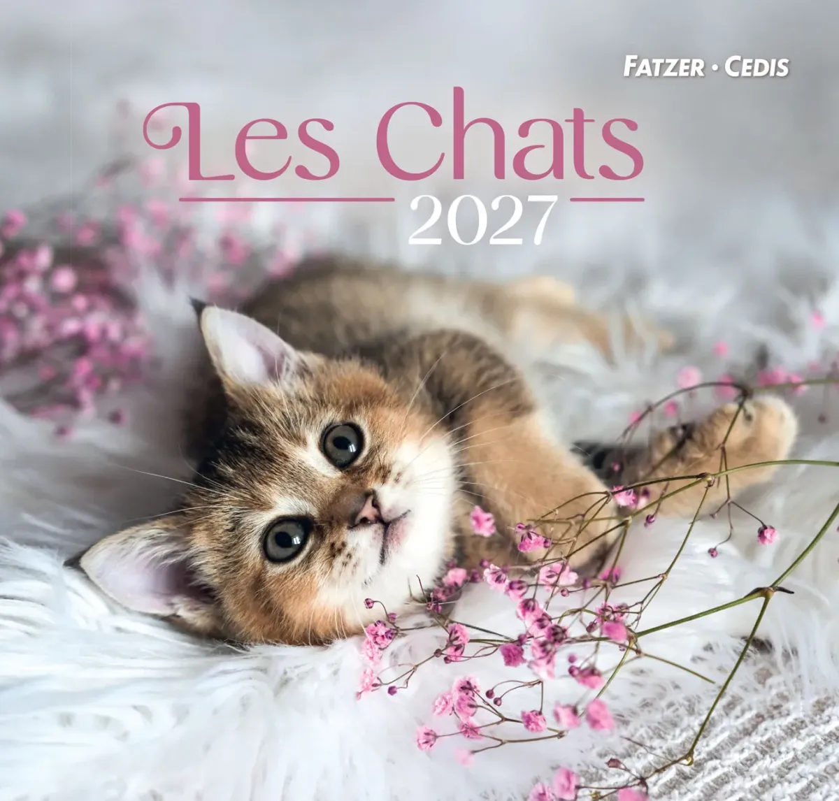 Calendrier Les chats - grand format