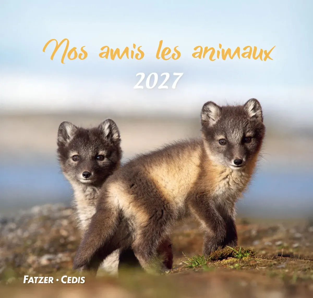 Calendrier Nos amis les animaux