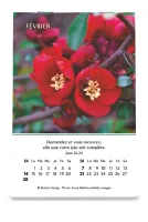 Calendrier Louanges - mini