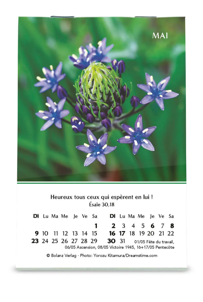 Calendrier Louanges - mini