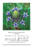 Calendrier Louanges - mini