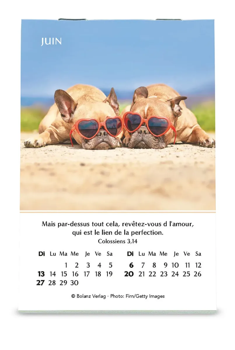 Calendrier Joie - mini
