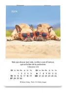 Calendrier Joie - mini