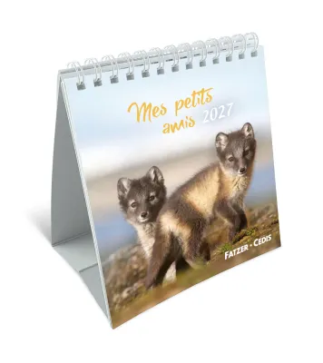 Calendrier Mes petits amis avec versets