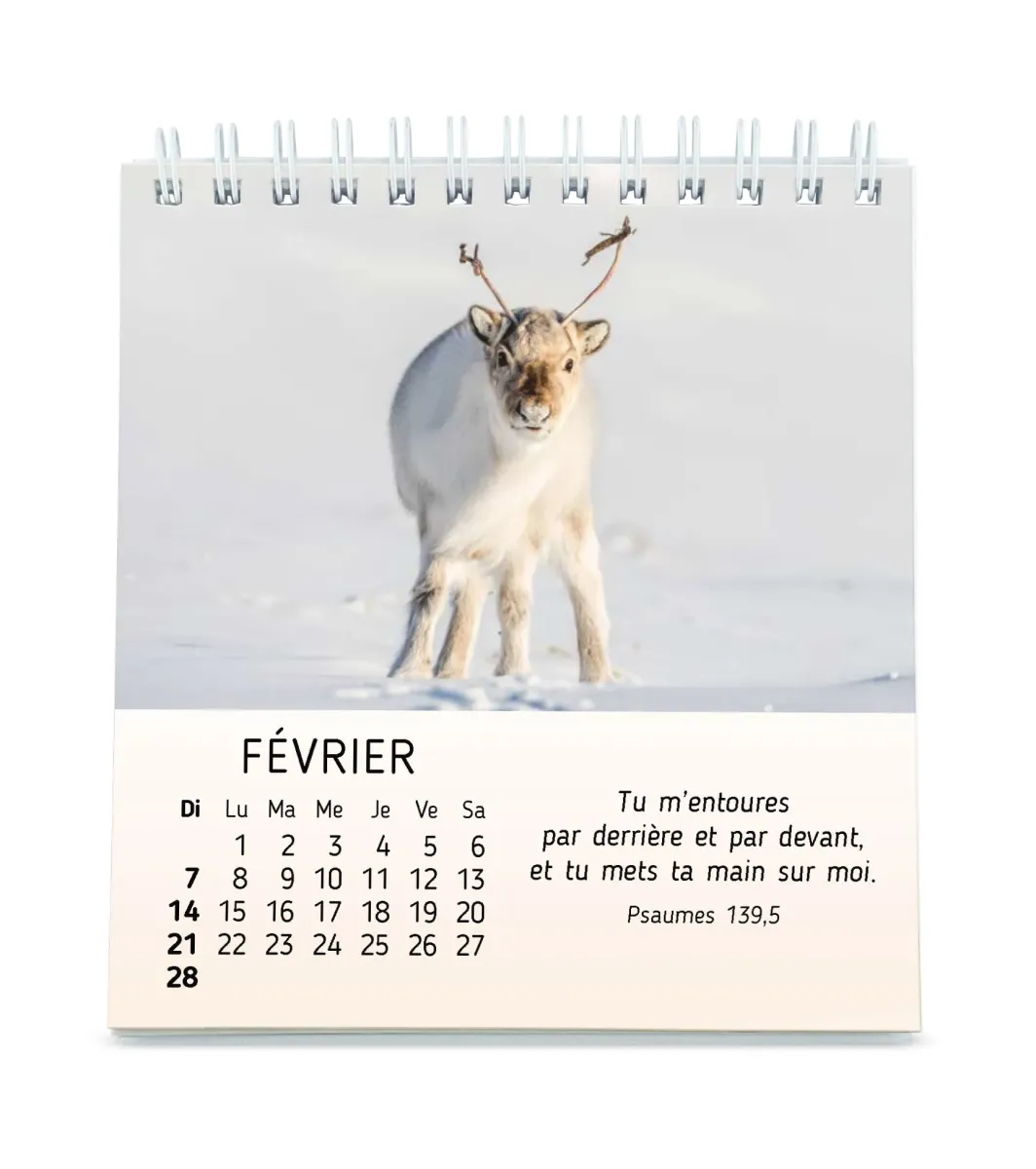 Calendrier Mes petits amis avec versets