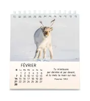 Calendrier Mes petits amis avec versets