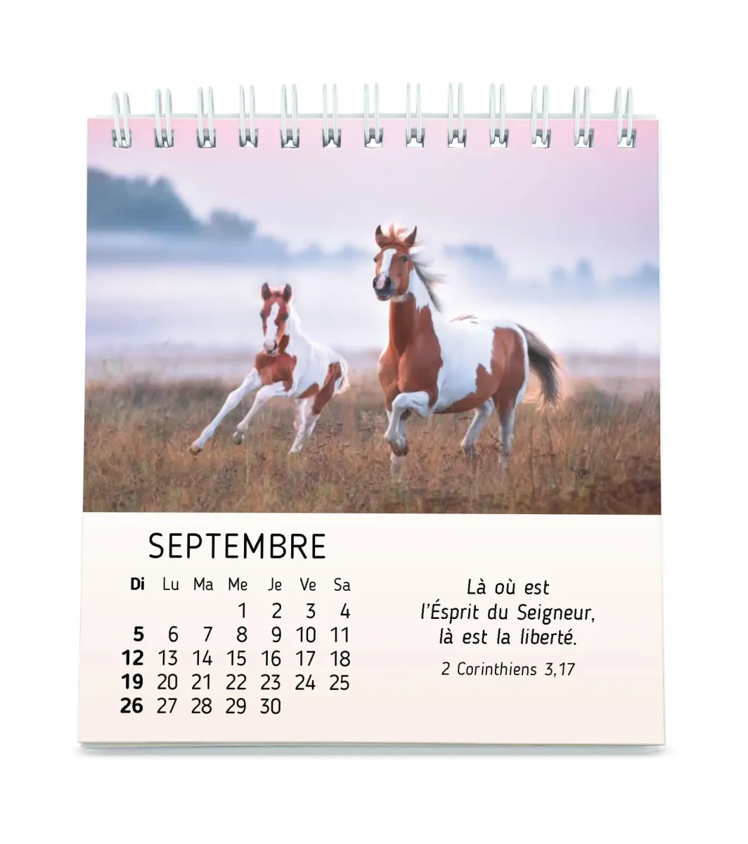 Calendrier Mes petits amis avec versets