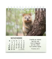 Calendrier Mes petits amis avec versets