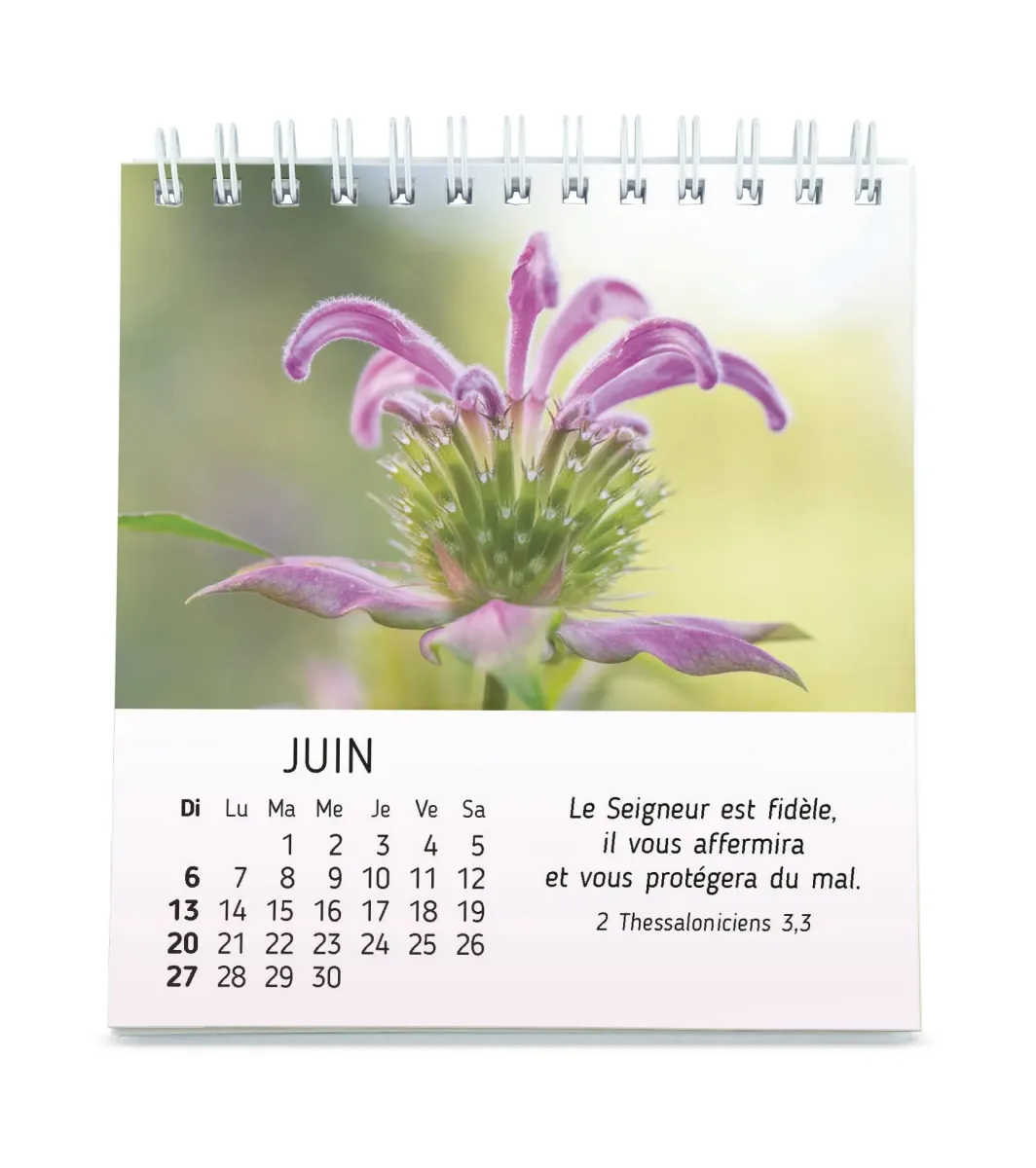 Calendrier Nature en paix