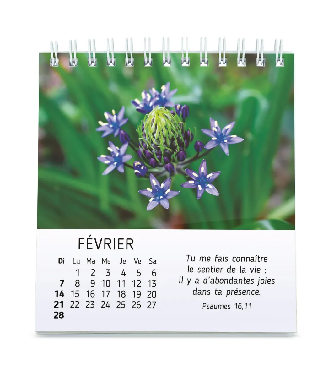 Calendrier Floralies