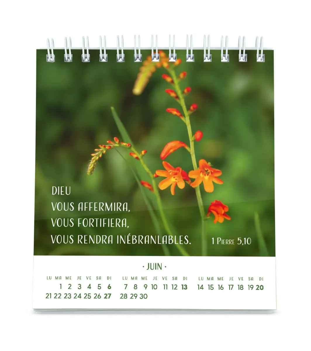 Calendrier Pensées fleuries