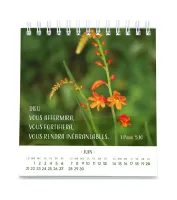 Calendrier Pensées fleuries