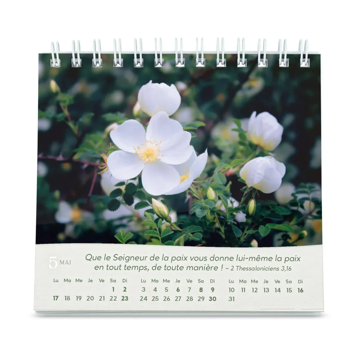 Calendrier Roses - petit format