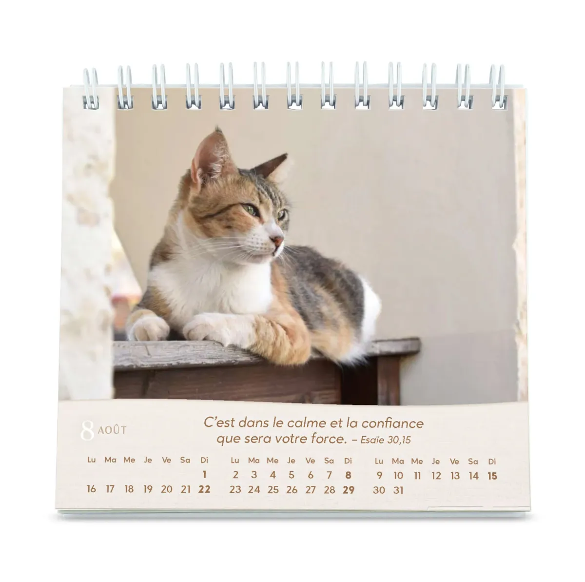 Calendrier  Les chats - petit format